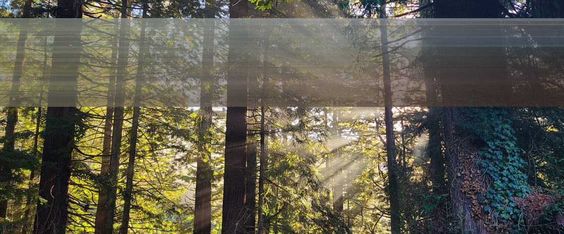 Environmental Impact